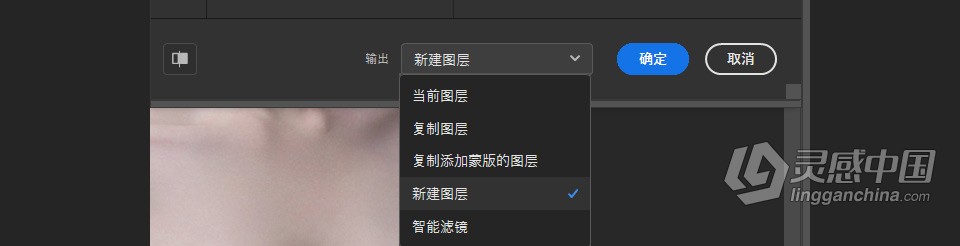 PS 2023神经网络滤镜 Neural Filters 安装包下载 支持PS 2023 24.5.x版本 Win版本下载  福风灵感网 www.ffidea.com