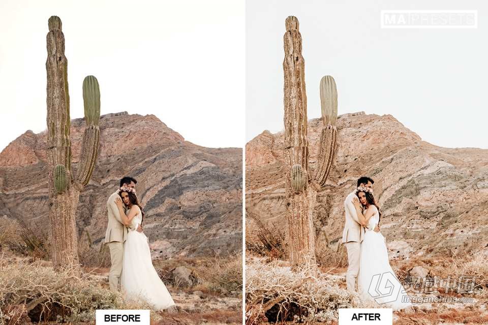 波西米亚浪漫婚礼lr预设BOHO WEDDING Mobile &amp; Desktop Lightroom Presets  福风灵感网 www.ffidea.com