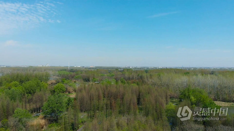 实拍视频素材-航拍户外郊区乡村绿色树林大自然实拍视频素材  福风灵感网 www.ffidea.com