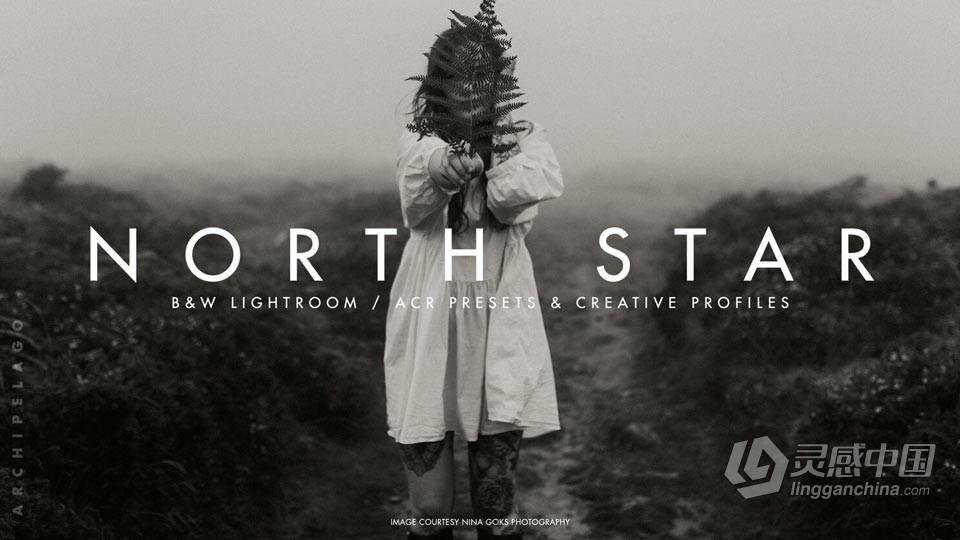 部落群岛 黑白胶片lr预设 Archipelago – NORTH STAR B+W LR/ACR预设  福风灵感网 www.ffidea.com