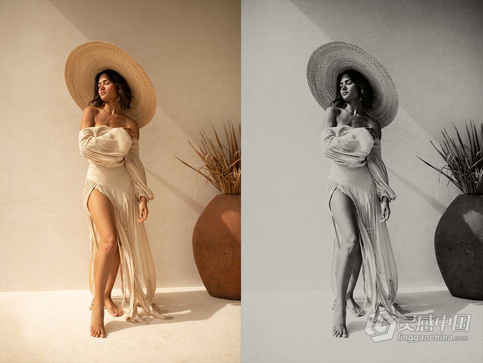 部落群岛 黑白胶片lr预设 Archipelago – NORTH STAR B+W LR/ACR预设  福风灵感网 www.ffidea.com