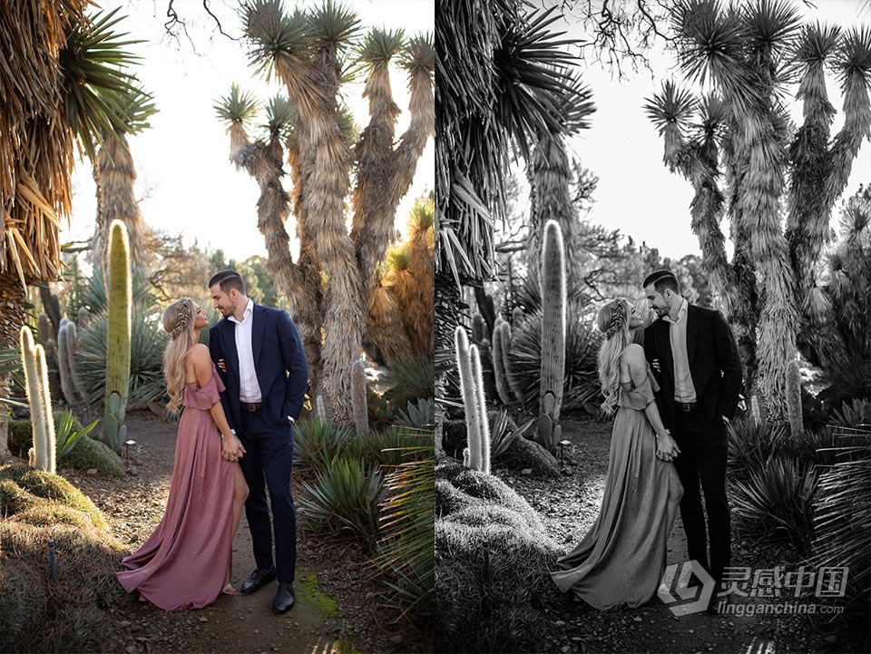 部落群岛 黑白胶片lr预设 Archipelago – NORTH STAR B+W LR/ACR预设  福风灵感网 www.ffidea.com