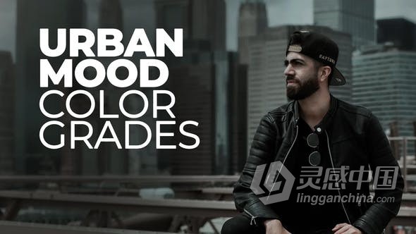 LUTs预设-Urban Mood LUTs 30个城市拍摄视频颜色分级LUTs预设  福风灵感网 www.ffidea.com