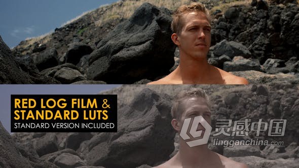 LUTs预设-26组LUT预设Red Log Film与Rec 709颜色分级视频调色  福风灵感网 www.ffidea.com