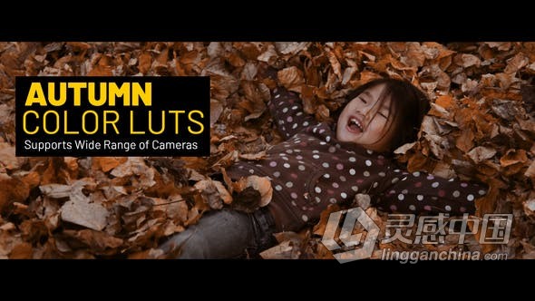 LUTs预设-暖色系秋季风格温馨生活季节调色15种LUTs预设文件  福风灵感网 www.ffidea.com