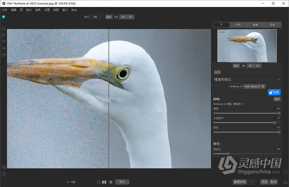 AI智能降噪软件 ON1 NoNoise AI 2023 v17.0.1.12976中文版 Win版本下载  福风灵感网 www.ffidea.com