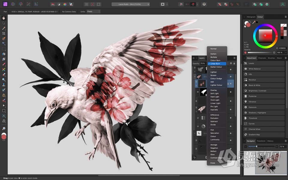 强大的图片编辑软件 Affinity Photo 2.0.3.1688 中文版 WIN版本下载  福风灵感网 www.ffidea.com