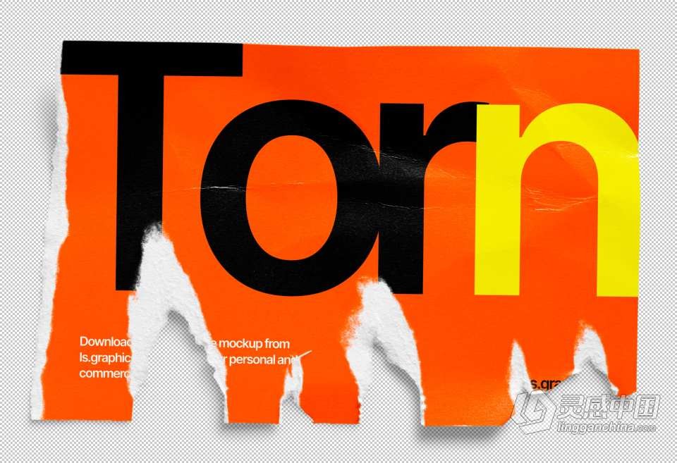 PS样机-80款撕裂纸张破损毛边褶皱做旧效果PS样机设计素材 Torn Paper Mockups  福风灵感网 www.ffidea.com