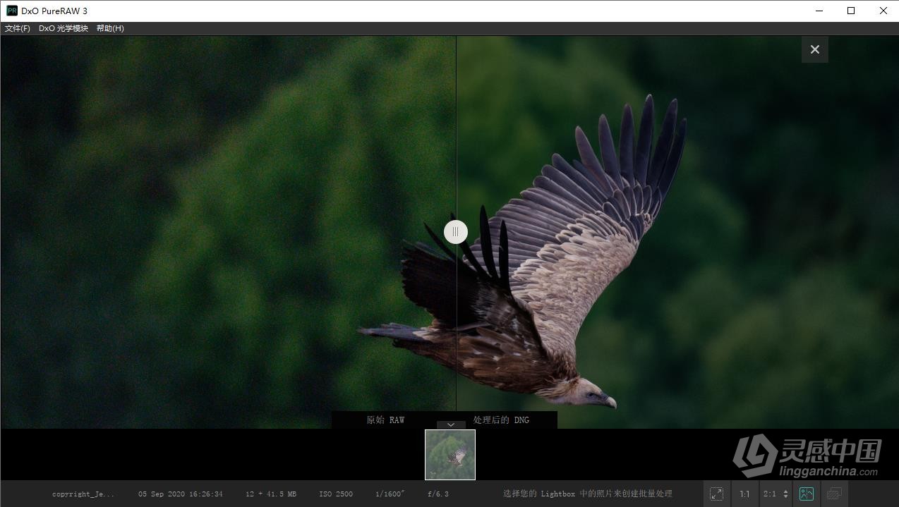 RAW增强清晰降噪照片处理软件 DxO PureRaw 3.6.1 Build 25中文版 支持Win/Mac  福风灵感网 www.ffidea.com