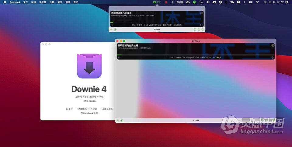 Mac电脑强大好用的在线视频下载软件 Downie 4.6.17(4563) 中文版下载  福风灵感网 www.ffidea.com