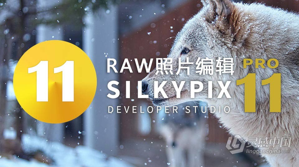 RAW照片编辑软件 SILKYPIX Developer Studio Pro 11.0.9.0 中文汉化版 WIN系统下载  福风灵感网 www.ffidea.com