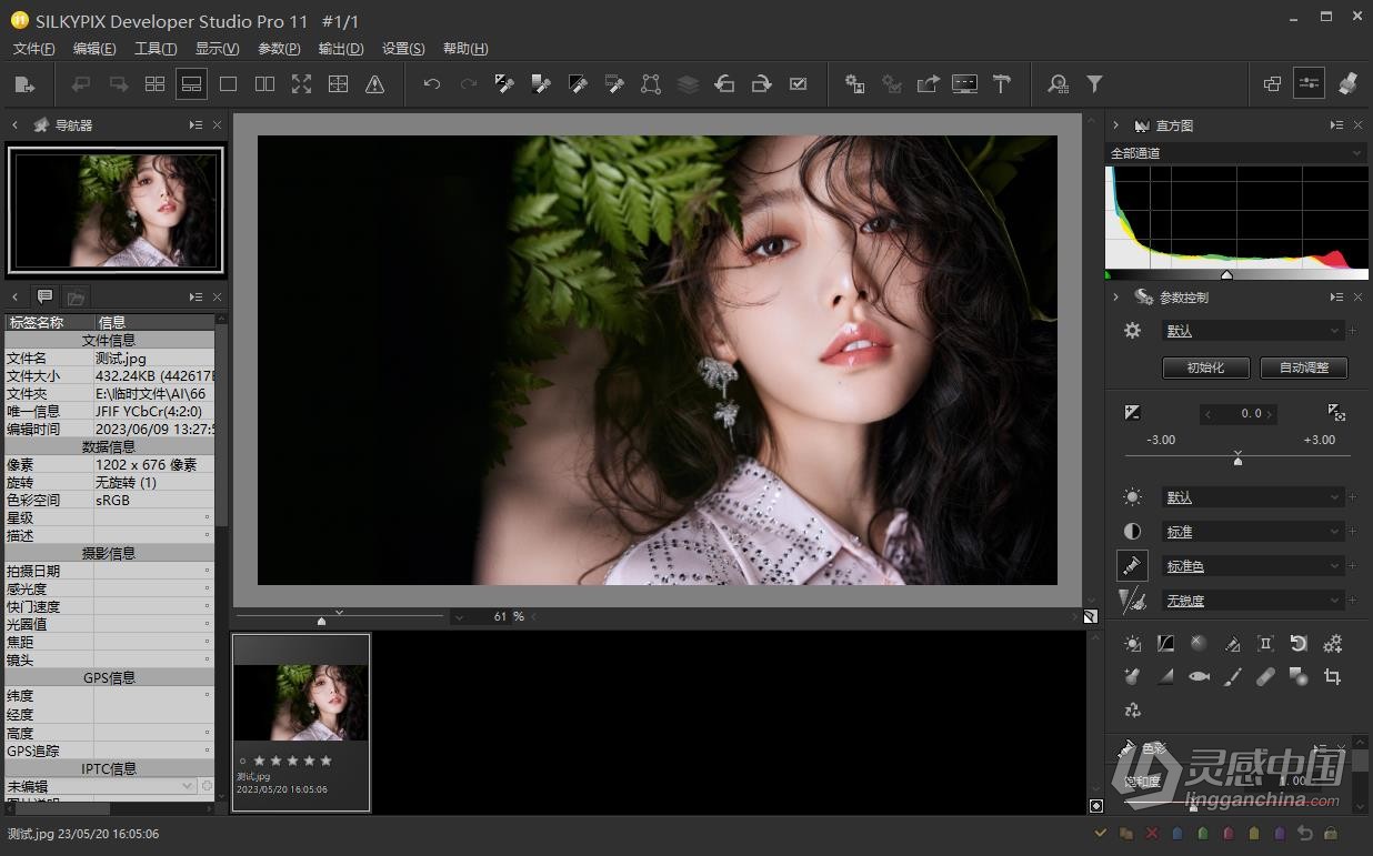 RAW照片编辑软件 SILKYPIX Developer Studio Pro 11.0.9.0 中文汉化版 WIN系统下载  福风灵感网 www.ffidea.com