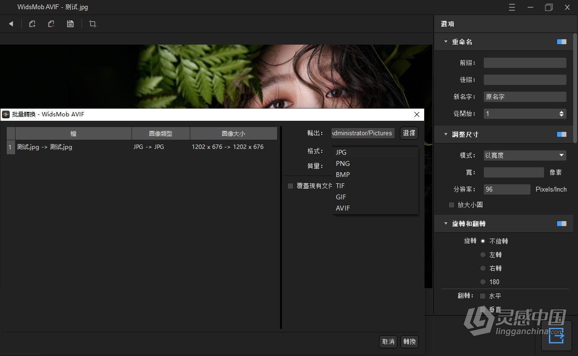 Avif图片转JPG/PNG/BMP/TIF等常用格式转换查看编辑软件 WidsMob AVIF v1.6.0.138 WIN中文版  福风灵感网 www.ffidea.com