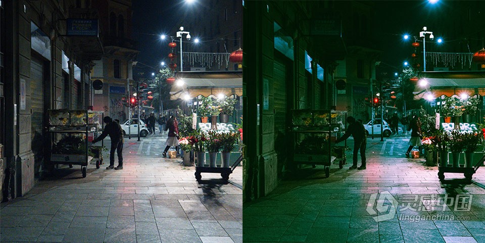 真正的狂野电影胶片Lightroom预设 Be Truly Wild Presets  福风灵感网 www.ffidea.com