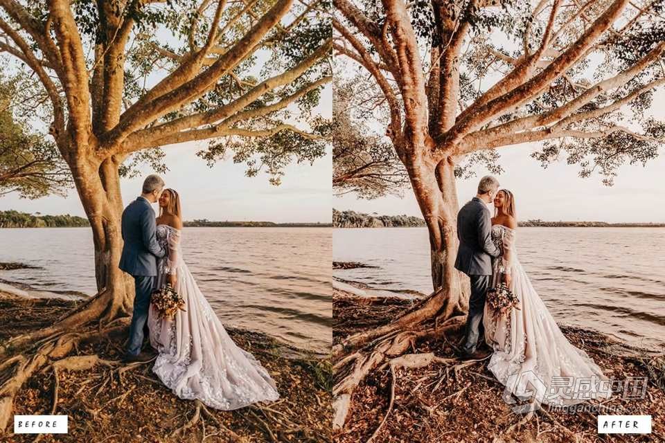 50个乡村电影胶片婚礼Lightroom预设 50 Rustic Wedding Lightroom Presets  福风灵感网 www.ffidea.com