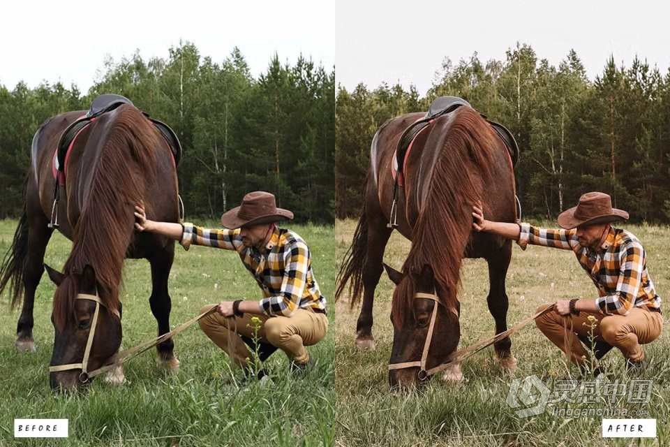 15个复古电影胶片Lightroom预设 15 Retro Film Lightroom Presets  福风灵感网 www.ffidea.com