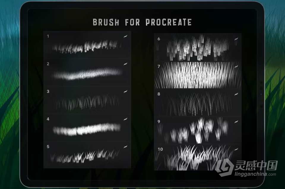 逼真的草地手绘插画Procreate笔刷 Dansdesign Grass Procreate Brush  福风灵感网 www.ffidea.com