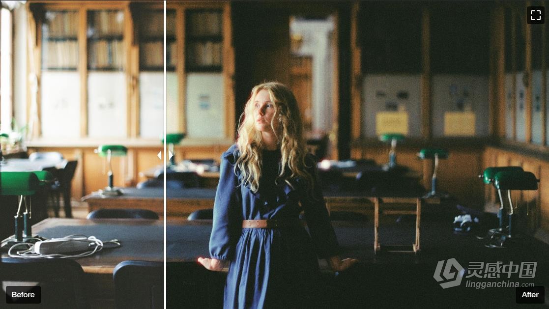 永恒经典电影胶片Lightroom预设 +CINE FILMX PRESETS  福风灵感网 www.ffidea.com