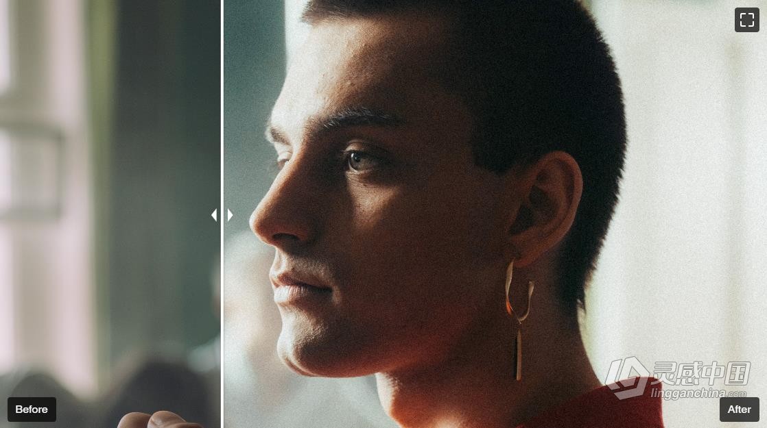 永恒经典电影胶片Lightroom预设 +CINE FILMX PRESETS  福风灵感网 www.ffidea.com