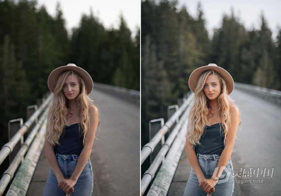 WithLuke 电影风光大师系列LR预设(2022) WithLuke - Master Collection (2022)  福风灵感网 www.ffidea.com