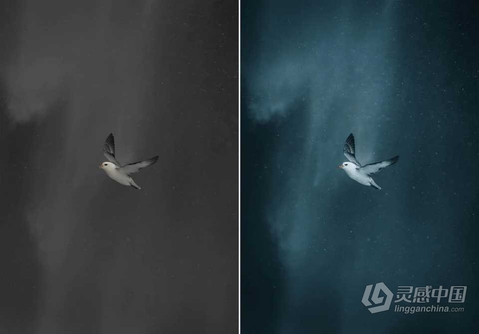 WithLuke 电影风光大师系列LR预设(2022) WithLuke - Master Collection (2022)  福风灵感网 www.ffidea.com