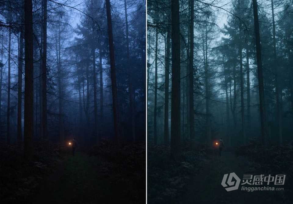 WithLuke 电影风光大师系列LR预设(2022) WithLuke - Master Collection (2022)  福风灵感网 www.ffidea.com