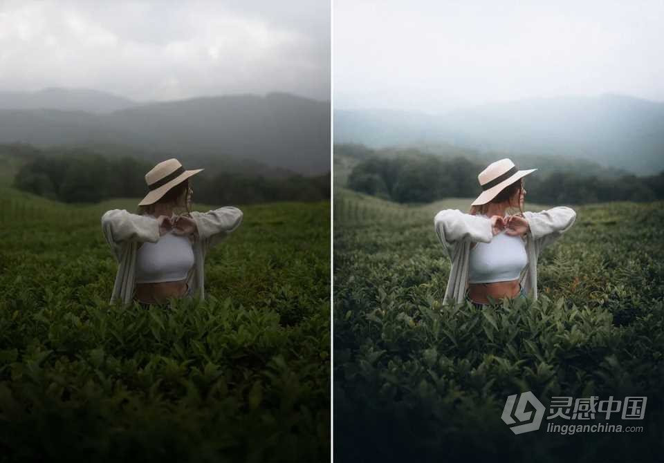 WithLuke 电影风光大师系列LR预设(2022) WithLuke - Master Collection (2022)  福风灵感网 www.ffidea.com