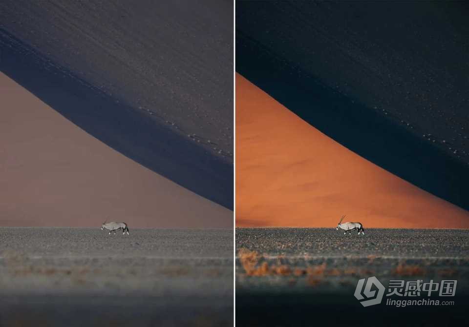 WithLuke 电影风光大师系列LR预设(2022) WithLuke - Master Collection (2022)  福风灵感网 www.ffidea.com