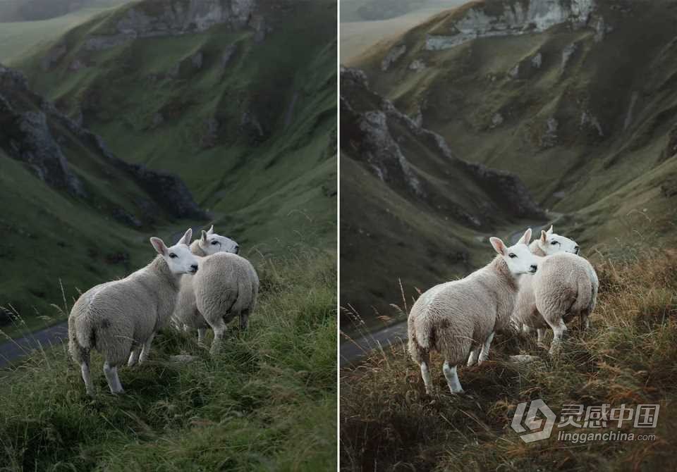 WithLuke 电影风光大师系列LR预设(2022) WithLuke - Master Collection (2022)  福风灵感网 www.ffidea.com