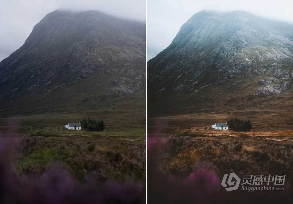 WithLuke 电影风光大师系列LR预设(2022) WithLuke - Master Collection (2022)  福风灵感网 www.ffidea.com