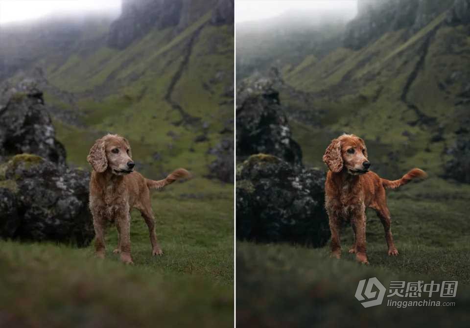 WithLuke 电影风光大师系列LR预设(2022) WithLuke - Master Collection (2022)  福风灵感网 www.ffidea.com