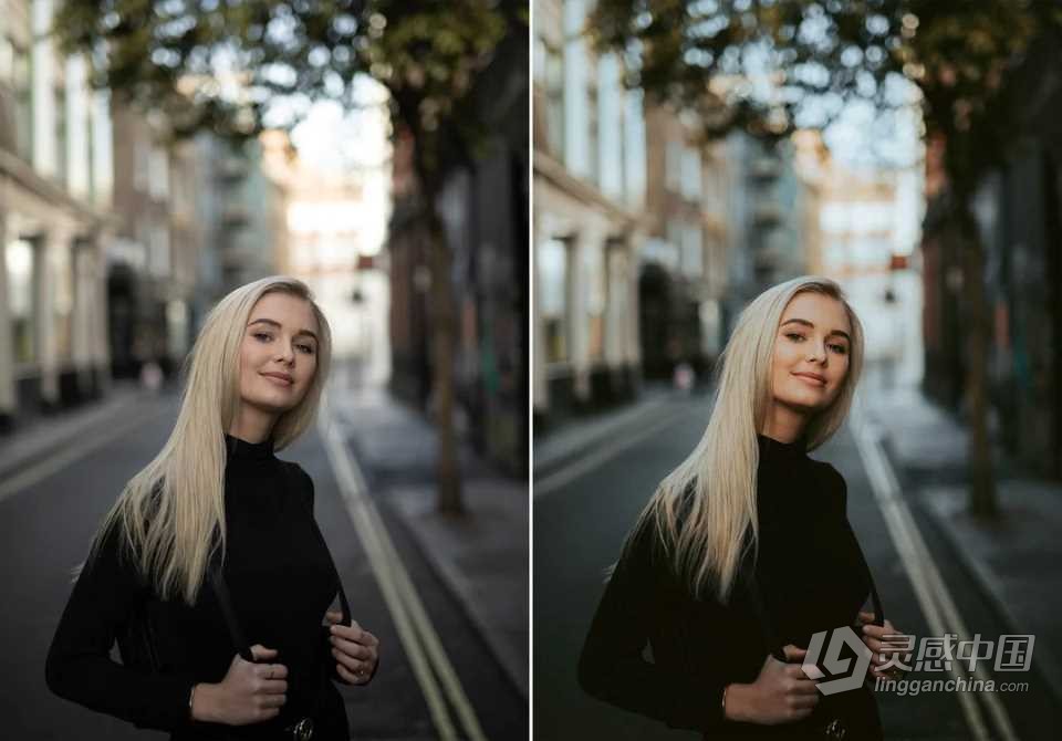 WithLuke 电影风光大师系列LR预设(2022) WithLuke - Master Collection (2022)  福风灵感网 www.ffidea.com