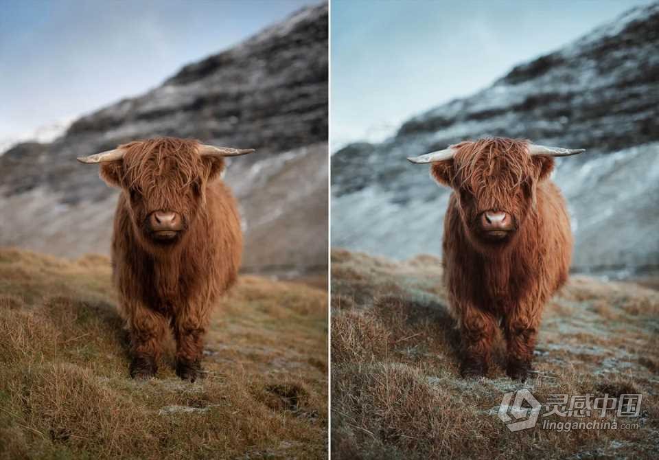 WithLuke 电影风光大师系列LR预设(2022) WithLuke - Master Collection (2022)  福风灵感网 www.ffidea.com