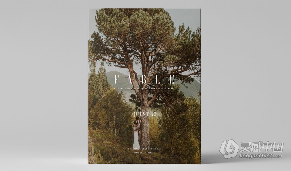 部落群岛-会员制系列质感温暖LR预设 Archipelago QUEST 25 - FABLE  福风灵感网 www.ffidea.com