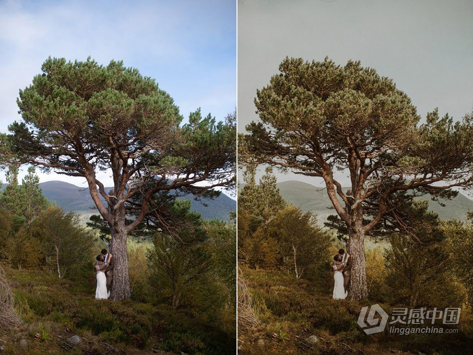 部落群岛-会员制系列质感温暖LR预设 Archipelago QUEST 25 - FABLE  福风灵感网 www.ffidea.com