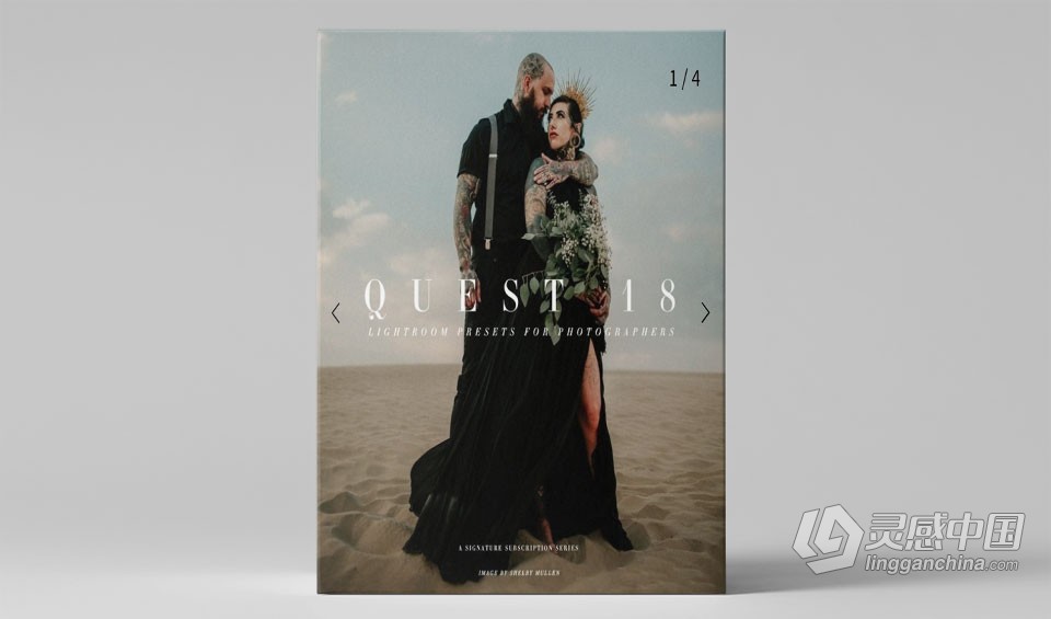 部落群岛-电影胶卷系列会员制LR预设 Archipelago Quest 18 Arbor  福风灵感网 www.ffidea.com