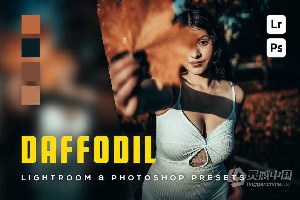 INS风格电影人像Lightroom预设 6 Daffodil Lightroom and Photoshop Presets  福风灵感网 www.ffidea.com