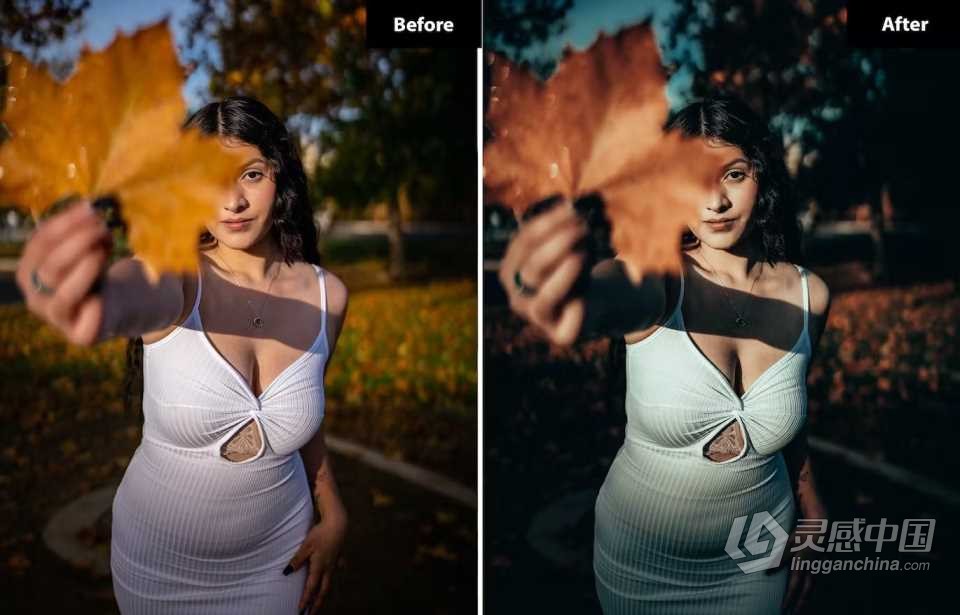 INS风格电影人像Lightroom预设 6 Daffodil Lightroom and Photoshop Presets  福风灵感网 www.ffidea.com