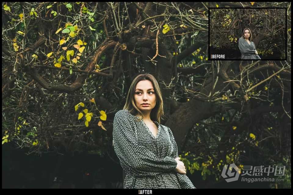 HDR电影磨砂人像Lightroom预设 HDR Matte - Desktop and Mobile Presets  福风灵感网 www.ffidea.com