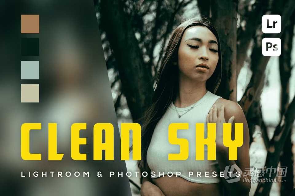 户外街拍电影人像Lightroom预设 6 Clean Sky Lightroom and Photoshop Presets  福风灵感网 www.ffidea.com