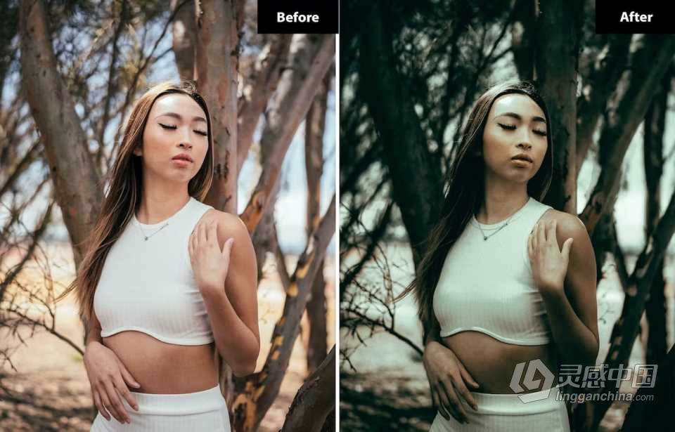 户外街拍电影人像Lightroom预设 6 Clean Sky Lightroom and Photoshop Presets  福风灵感网 www.ffidea.com