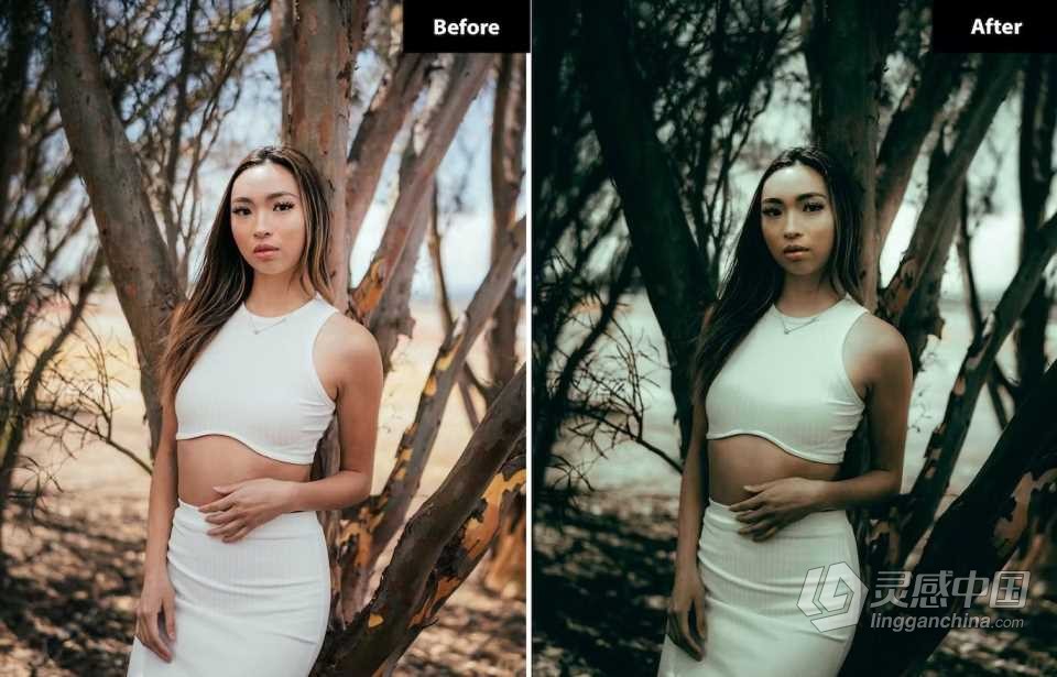 户外街拍电影人像Lightroom预设 6 Clean Sky Lightroom and Photoshop Presets  福风灵感网 www.ffidea.com