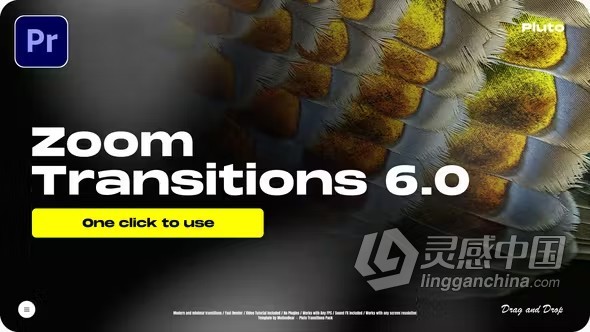 实用炫酷缩放视觉冲击感无缝转场动画PR模板下载 Zoom Transitions 6.0 - For Premiere Pro  福风灵感网 www.ffidea.com