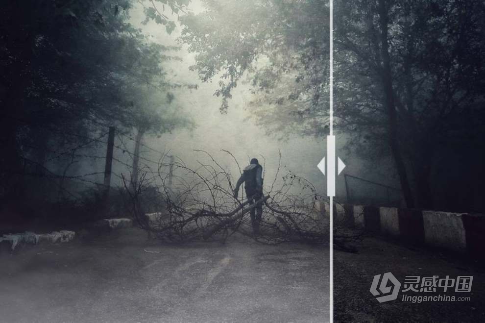 30张晨雾浓雾薄雾朦胧雾气照片叠加图片素材+PS动作 30 Fog Photo Overlays 2.0  福风灵感网 www.ffidea.com