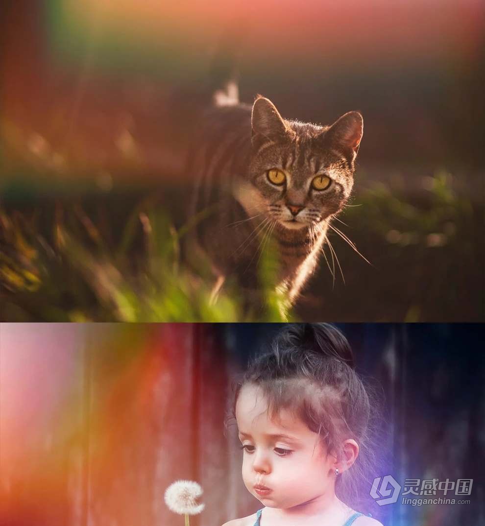 99张自然光线漏光效果叠加图片素材+PS动作 Natural Light Leaks Overlays  福风灵感网 www.ffidea.com