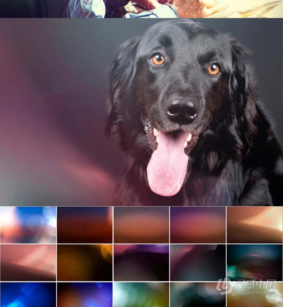 99张自然光线漏光效果叠加图片素材+PS动作 Natural Light Leaks Overlays  福风灵感网 www.ffidea.com