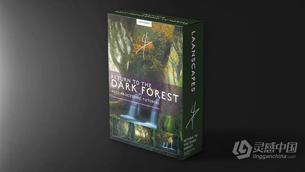 Daniel Laan 风光摄影后期修饰重返神秘暗黑森林3案例 中英字幕 Return to the Dark Forest  福风灵感网 www.ffidea.com