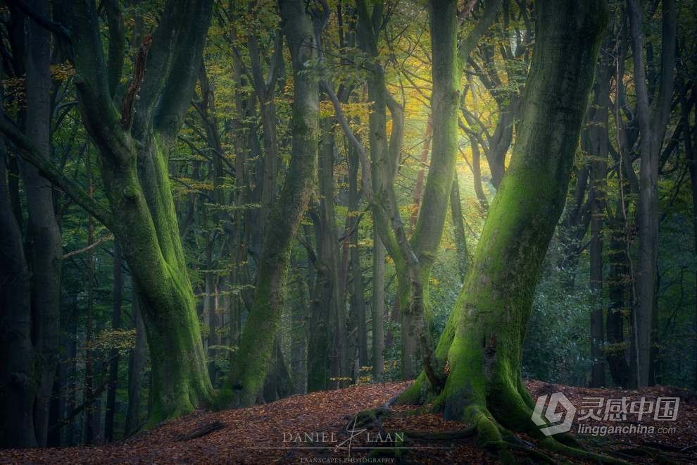 Daniel Laan 风光摄影后期修饰重返神秘暗黑森林3案例 中英字幕 Return to the Dark Forest  福风灵感网 www.ffidea.com