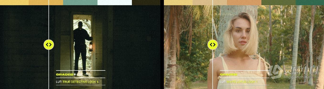 20款经典美剧好莱坞电视节目复古大片LUT调色预设 Tropic Colour – TV Looks  福风灵感网 www.ffidea.com