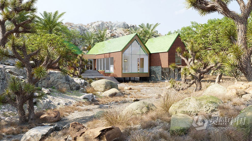 埃及香脂树垂丝恋草枣椰树粉红芒草等植物3D模型合集  福风灵感网 www.ffidea.com